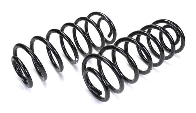 SAAB Coil Spring Conversion Kit - Rear (113 Wheel Base) - Arnott C2137